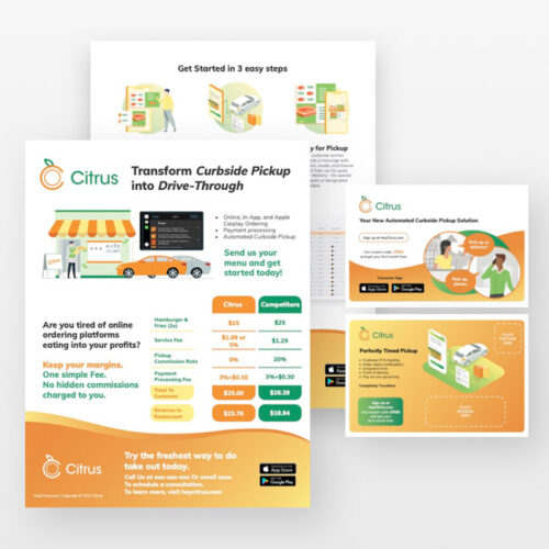 Citrus Infographic Image - Technology and SAAS services